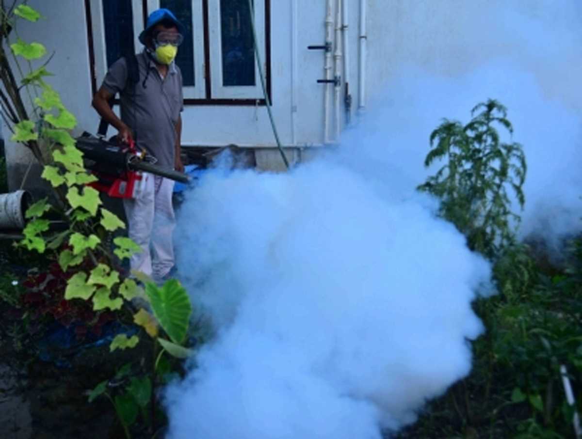 असम: जापानी इंसेफेलाइटिस से 63 लोगों की मौत, 347 संक्रमित